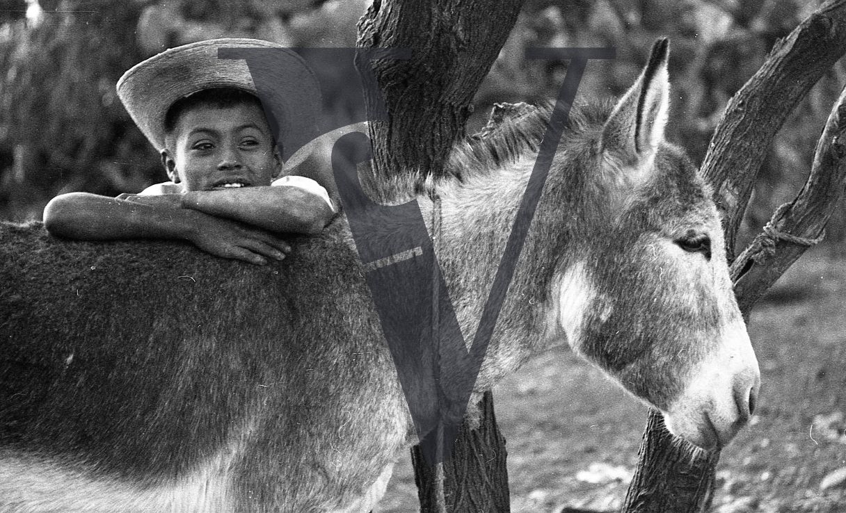 Mexico, Boy with cowboy hat leaning on donkey.