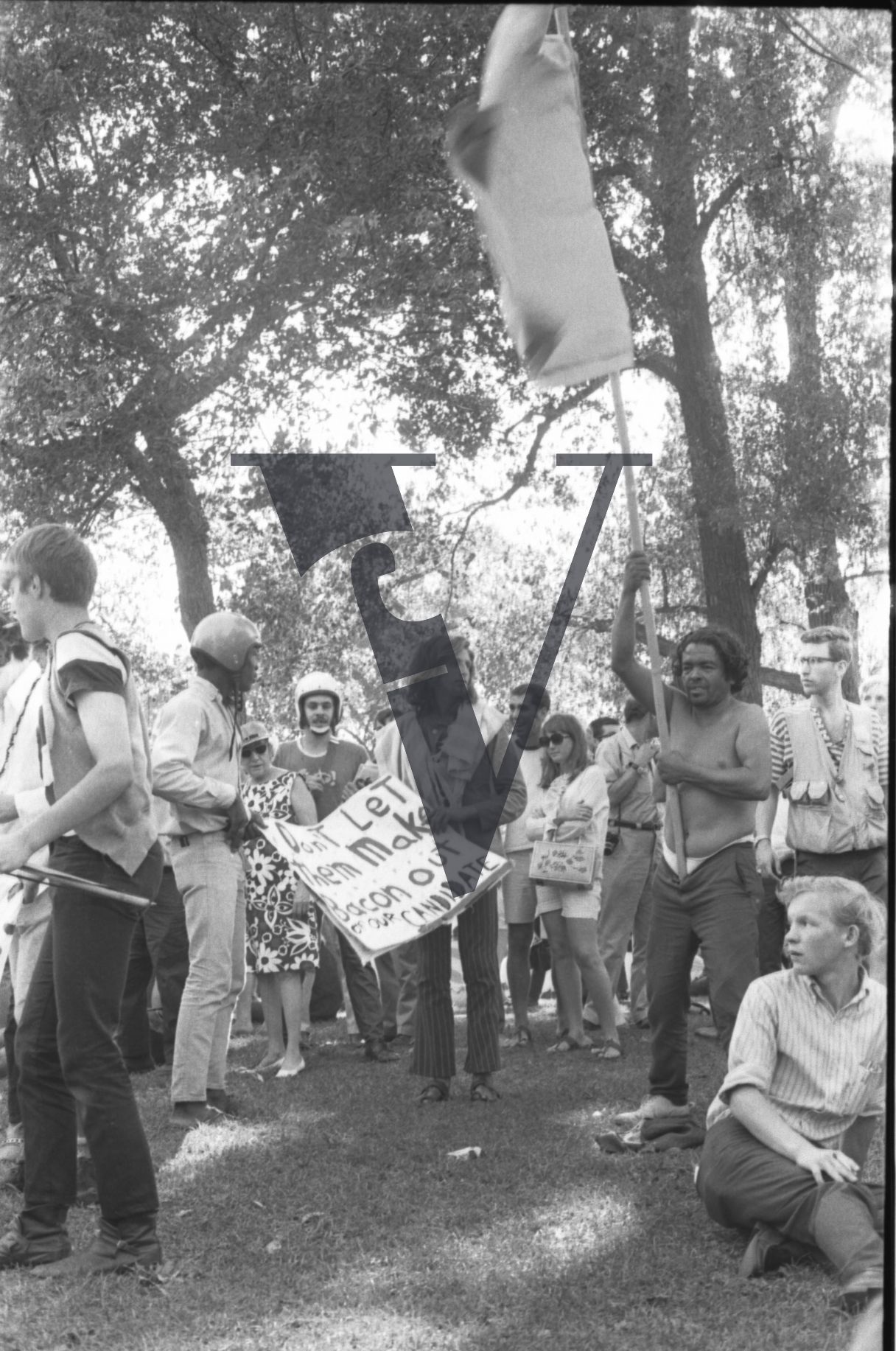 Chicago, Anti-war rallies in Lincoln Park, hippy youth in park, placard reads 'Don't Let Them Make Bacon Out Of Our Candidate'.