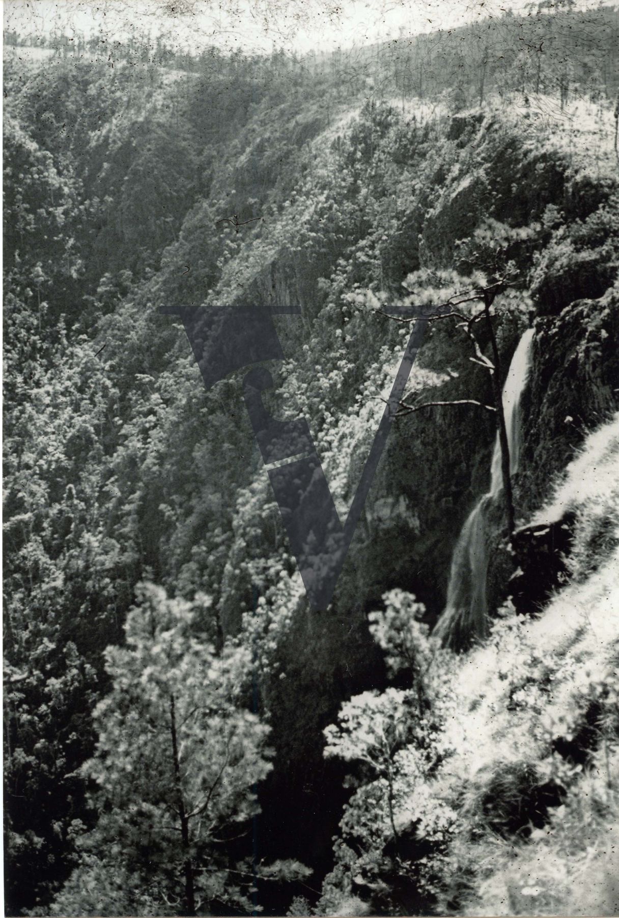 Belize, Mountain Pine Ridge, landscape, waterfall.