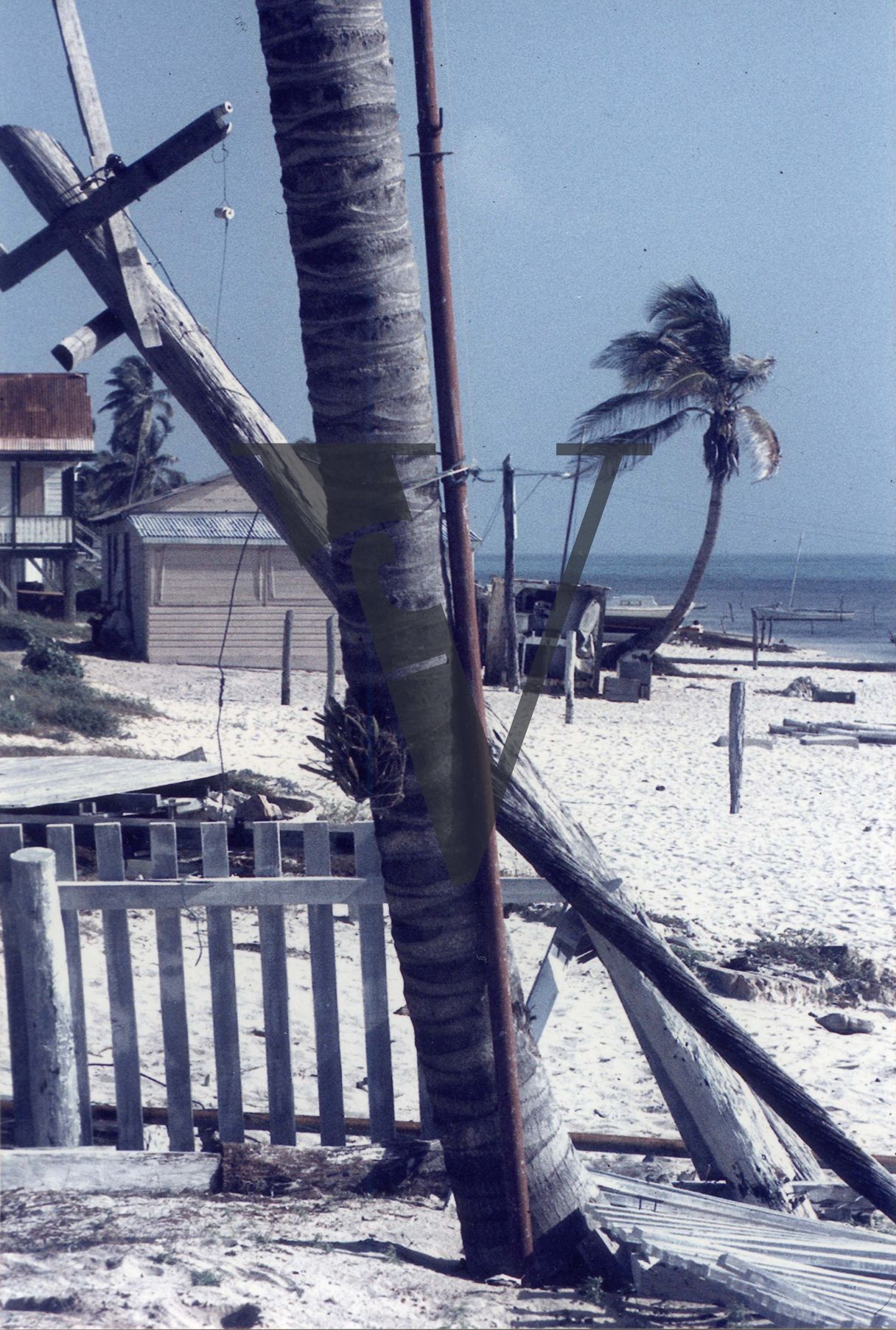 Belize, beach, after Hurricane Hattie.