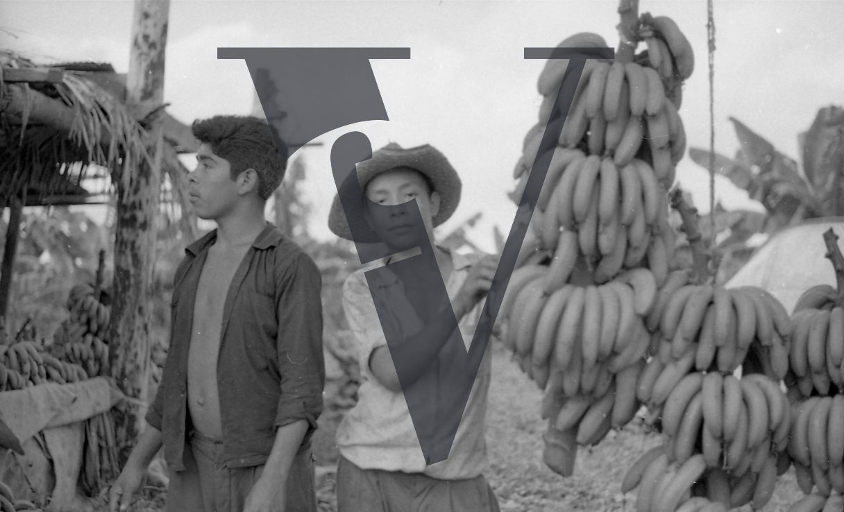 Belize, banana sellers.