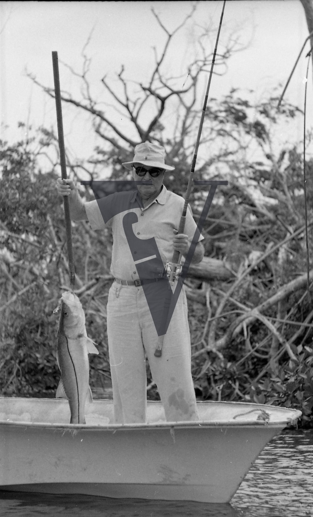 Belize, Elderly fisherman holds his large catch on boat.