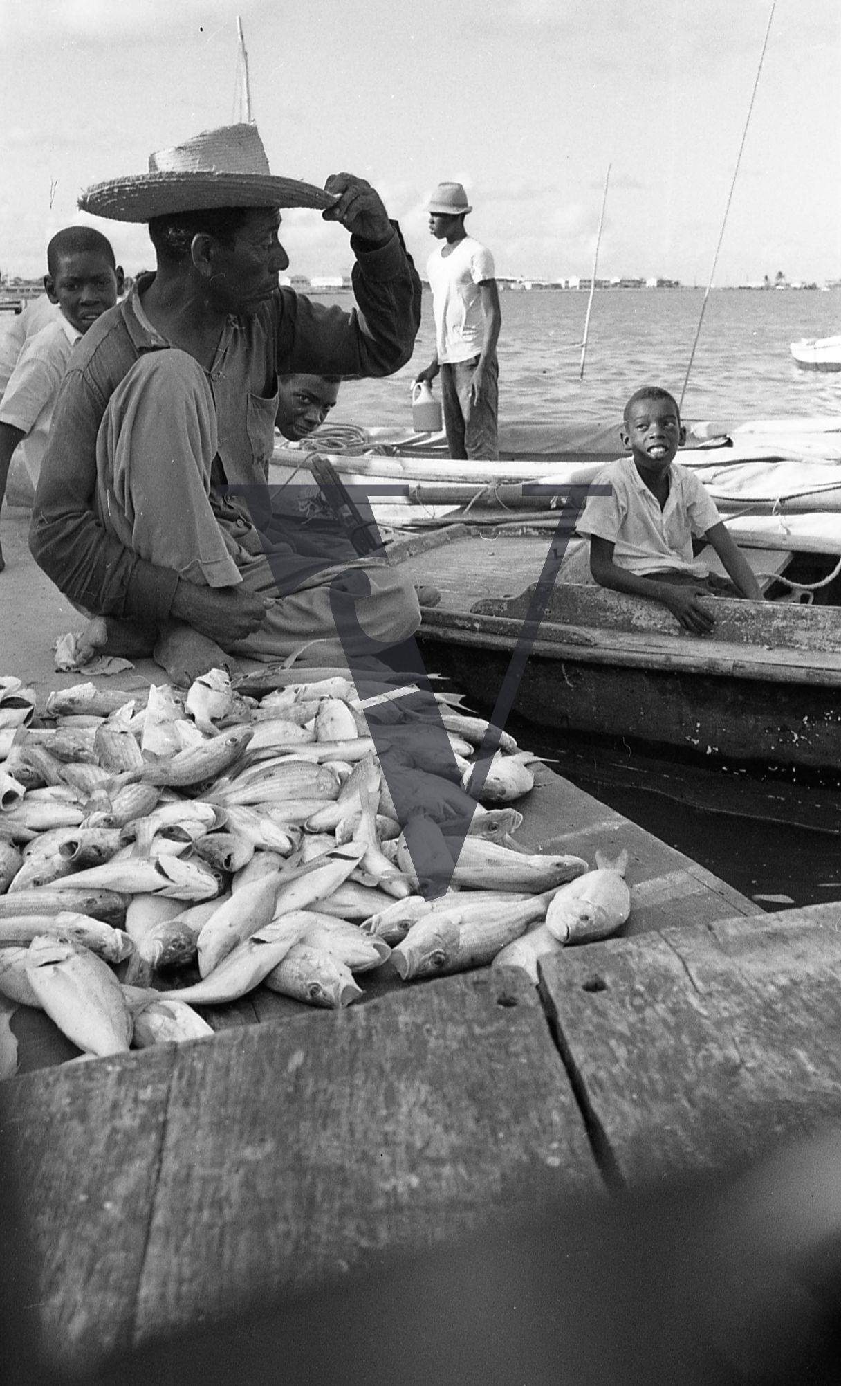Belize, Fishermen, men and boys,  look at catch on dockside.
