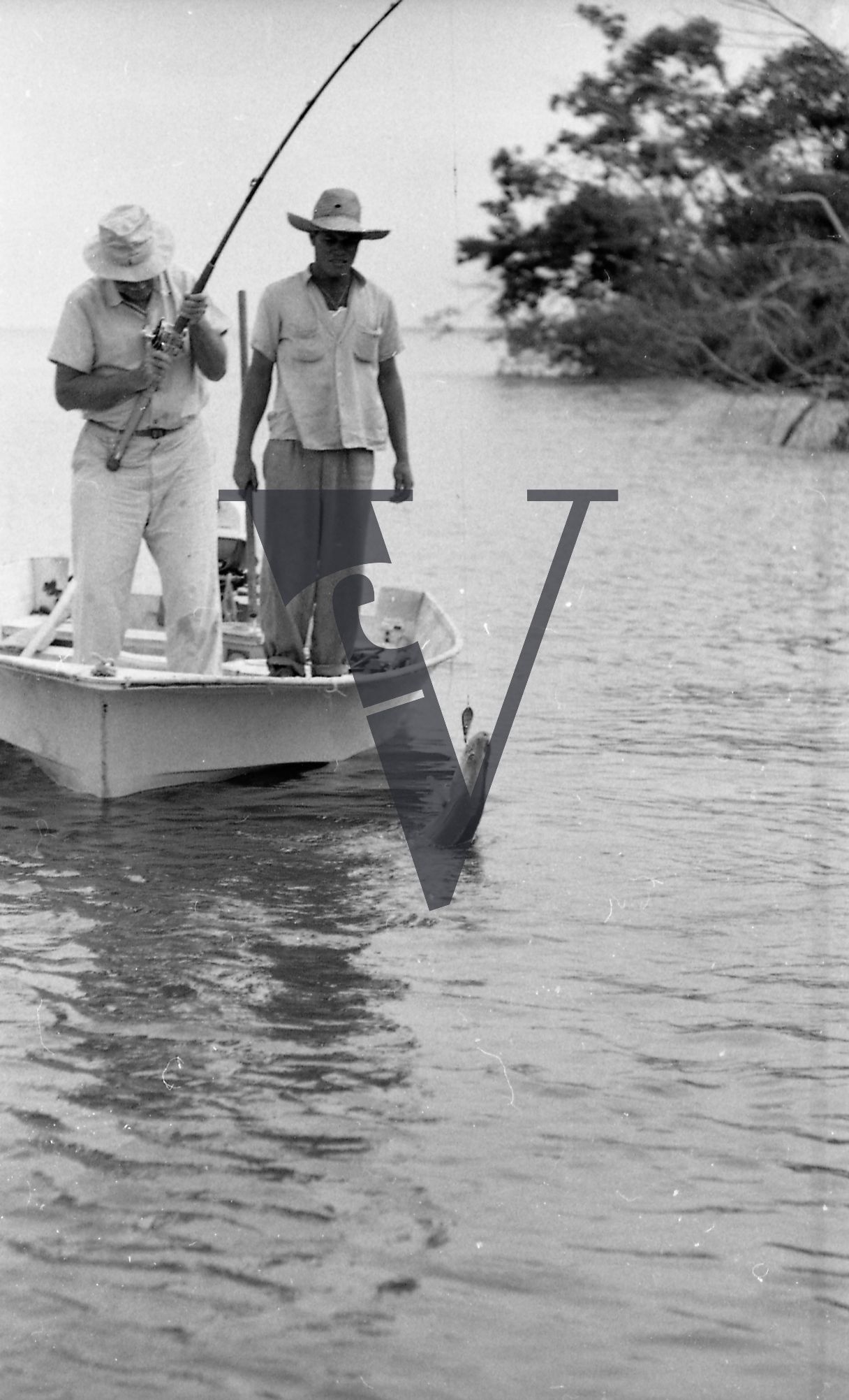 Belize, Elderly fisherman reeks in large fish on boat.