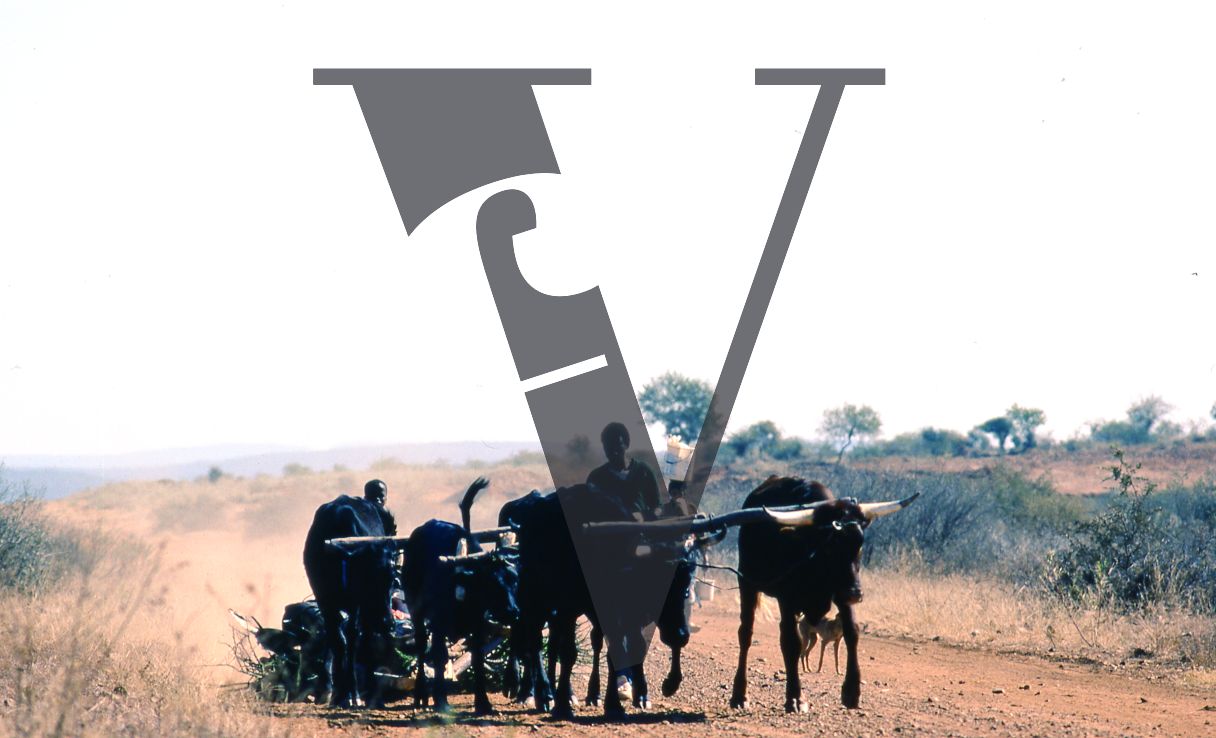 Botswana, Ox Cart.