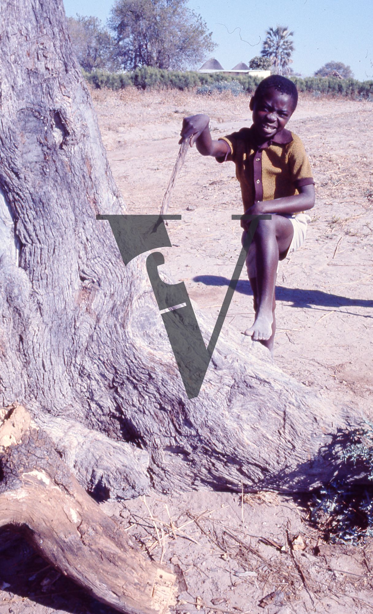 Botswana, Okvango, Boy smiling on tree.
