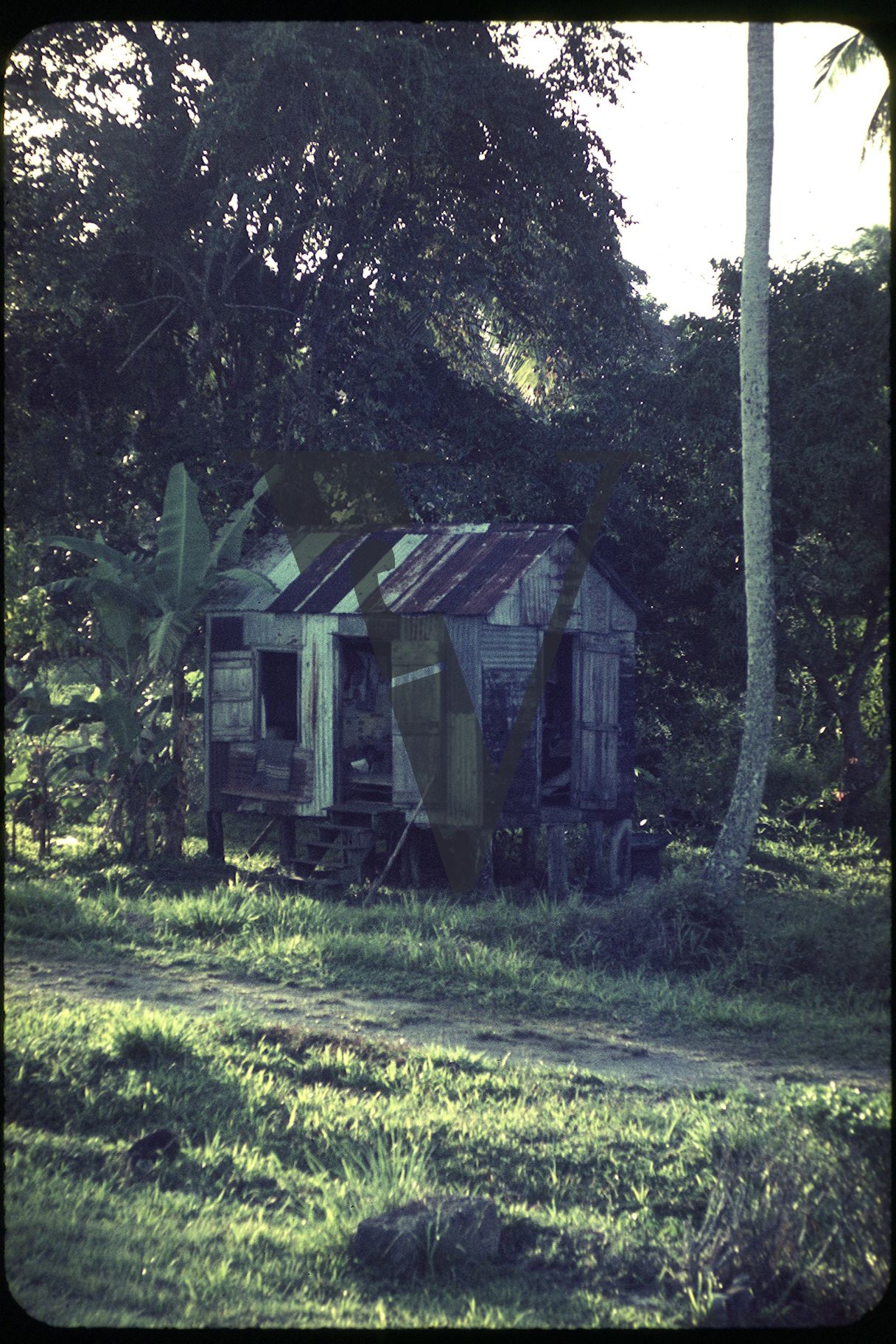 Belize, Punta Gorda, Tin shack on stilts.