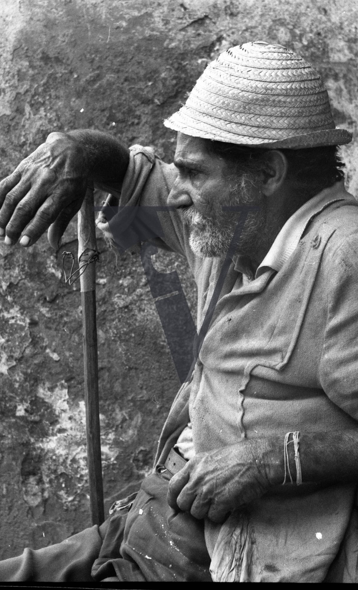 Cuba, Cane cutting, elderly man sitting by stick, resting.