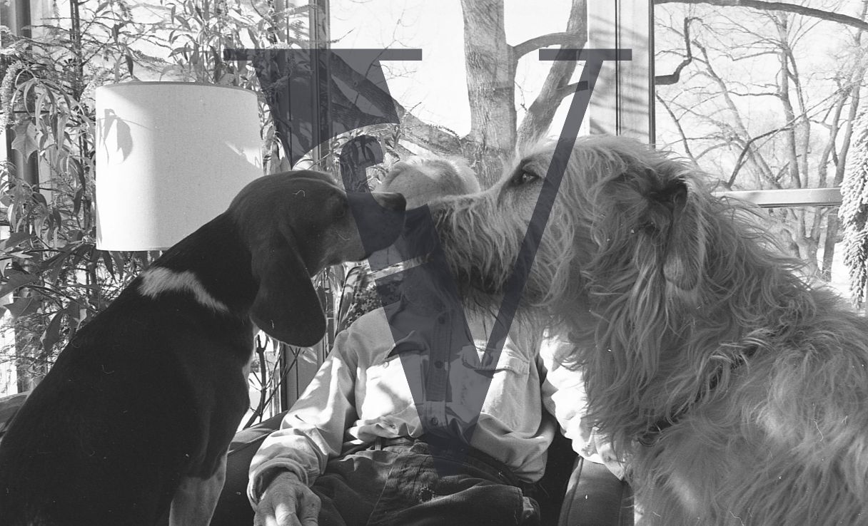 Edward Steichen, Connecticut, portrait, dogs kissing.