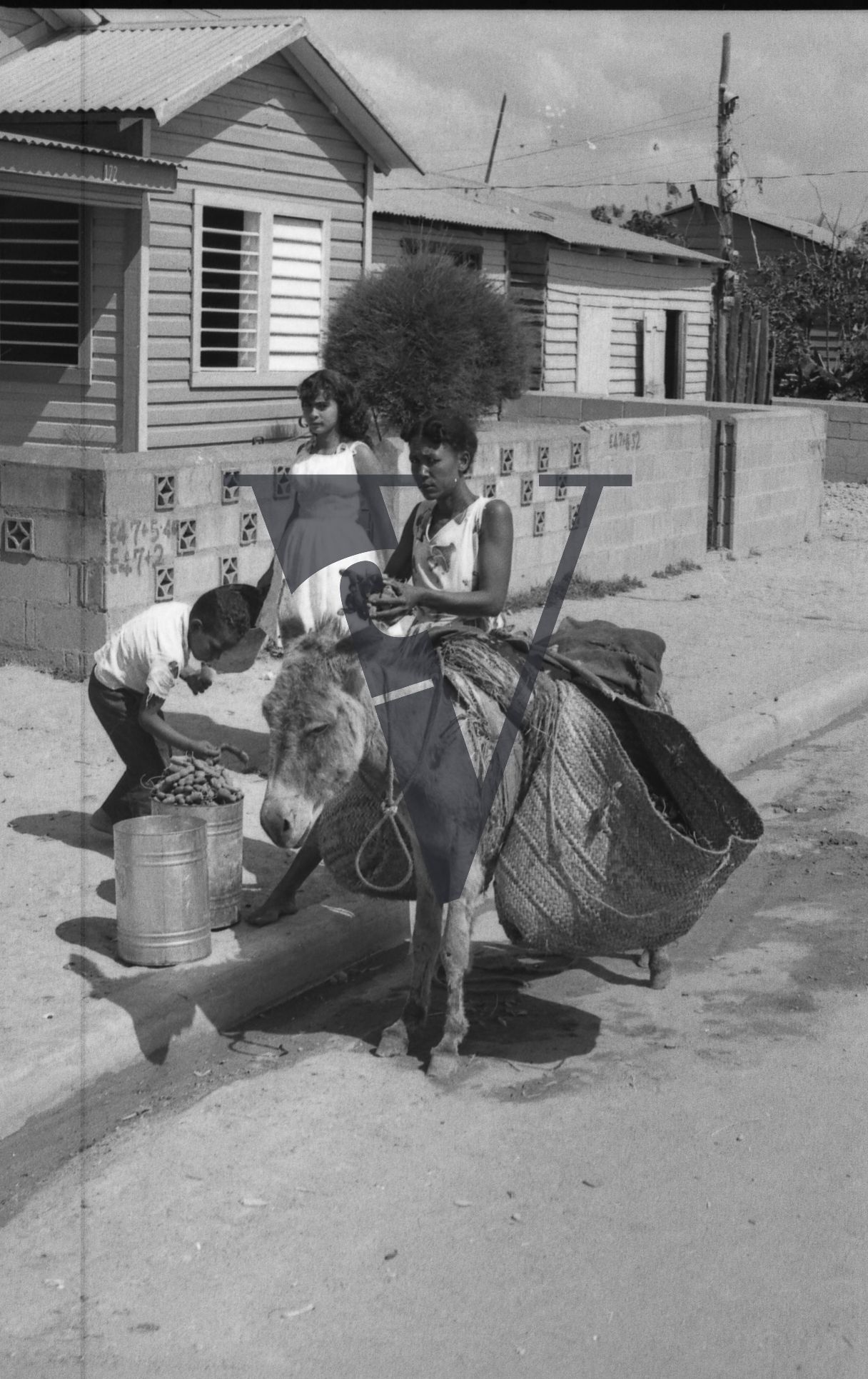 Dominican Republic, women and children with donkey.