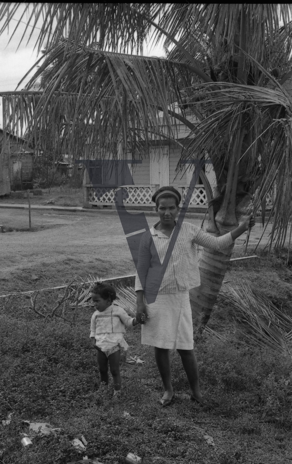 Dominican Republic, woman and child, palm tree, portrait.