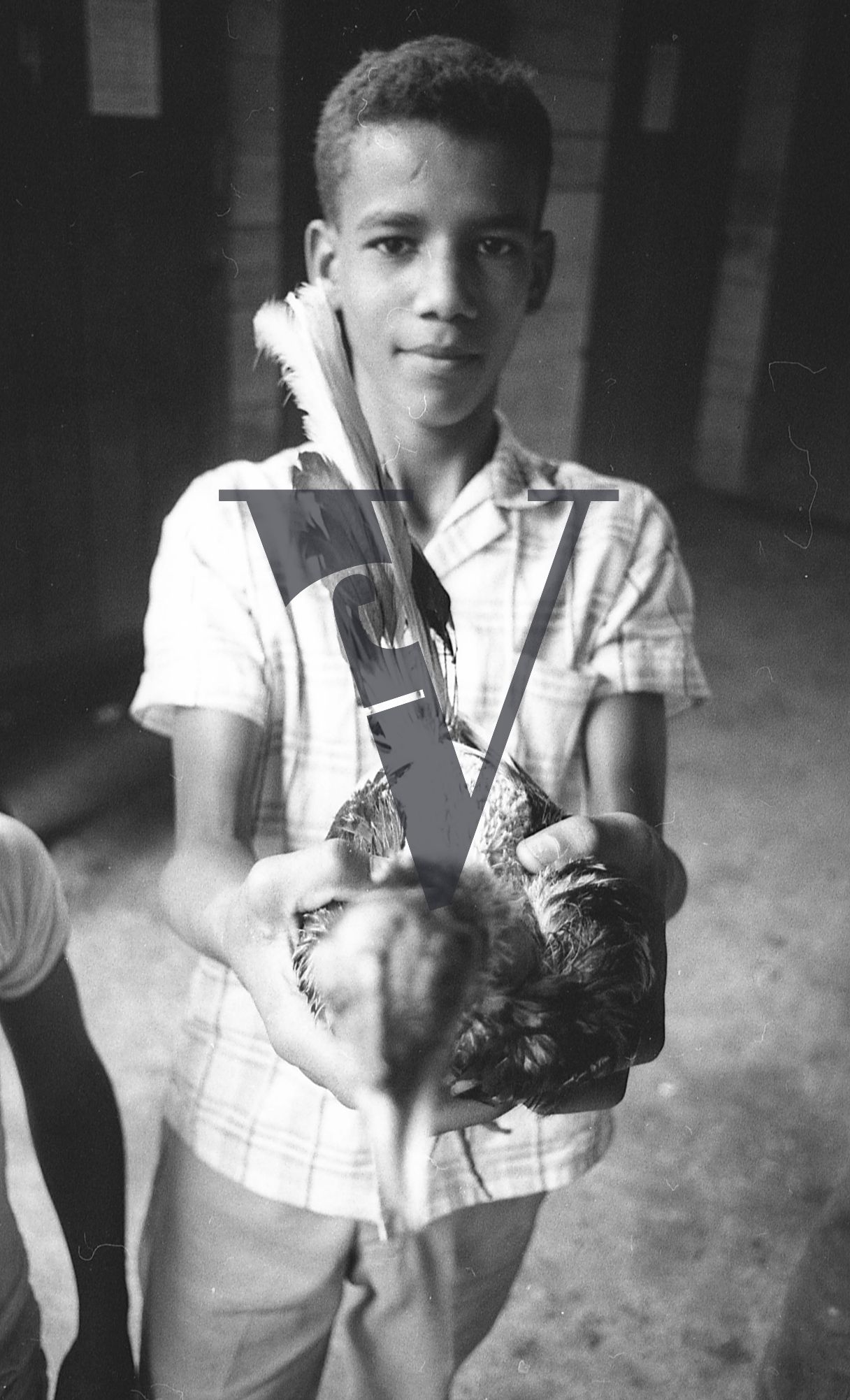 Dominican Republic, cockfight, boy, portrait, holding bird.