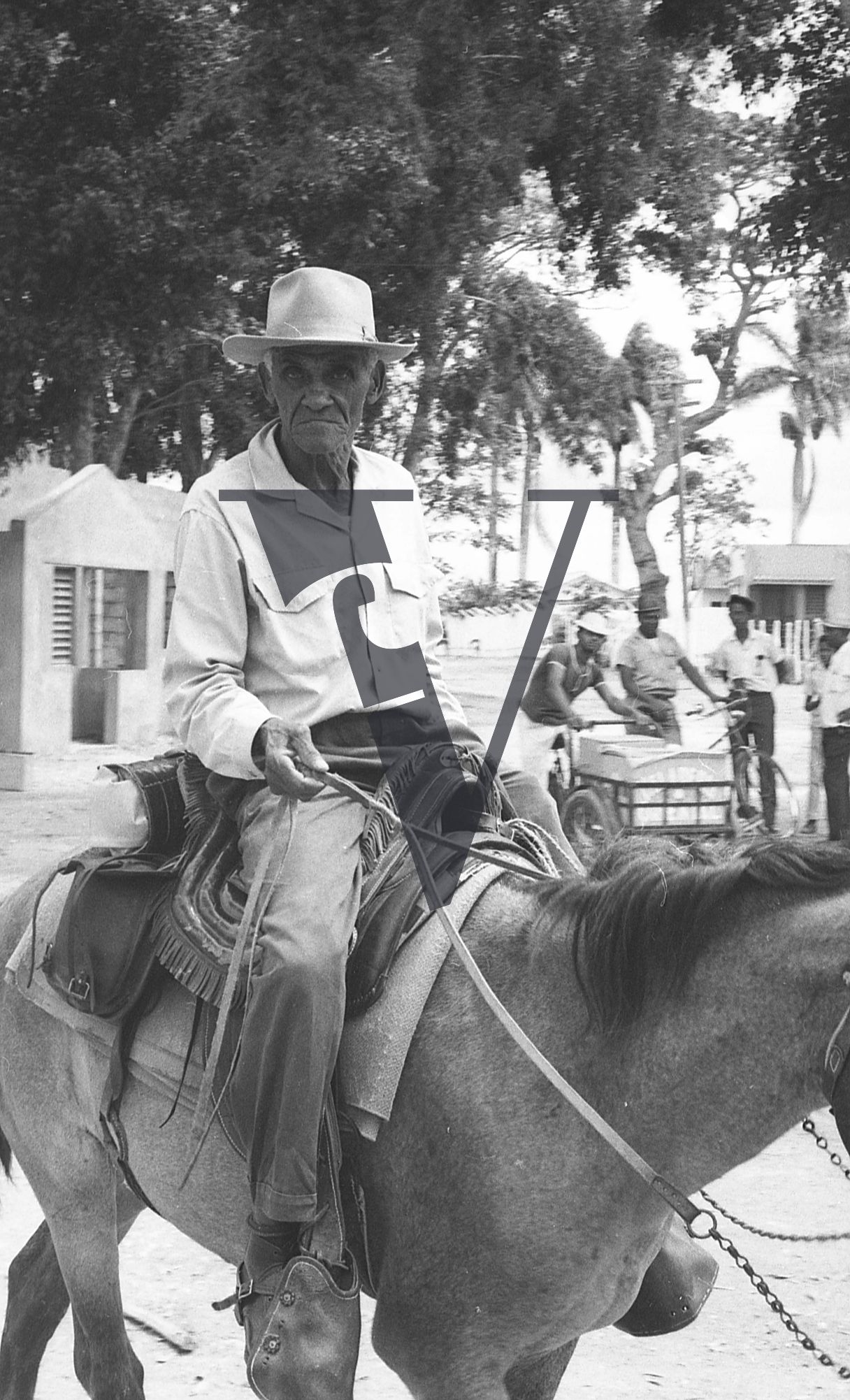 Dominican Republic, portrait, elderly man on donkey.
