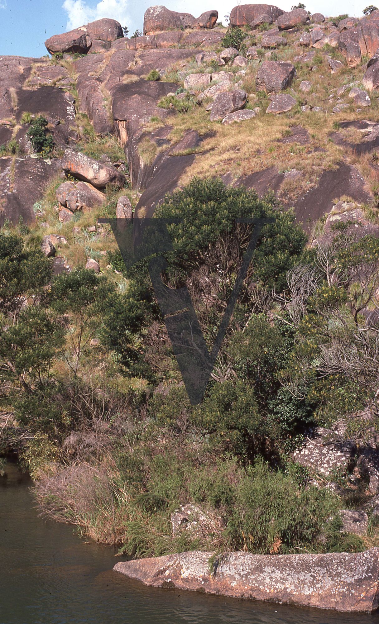 Eswatini, (formerly Swaziland), landscape, rocks and shrubs.