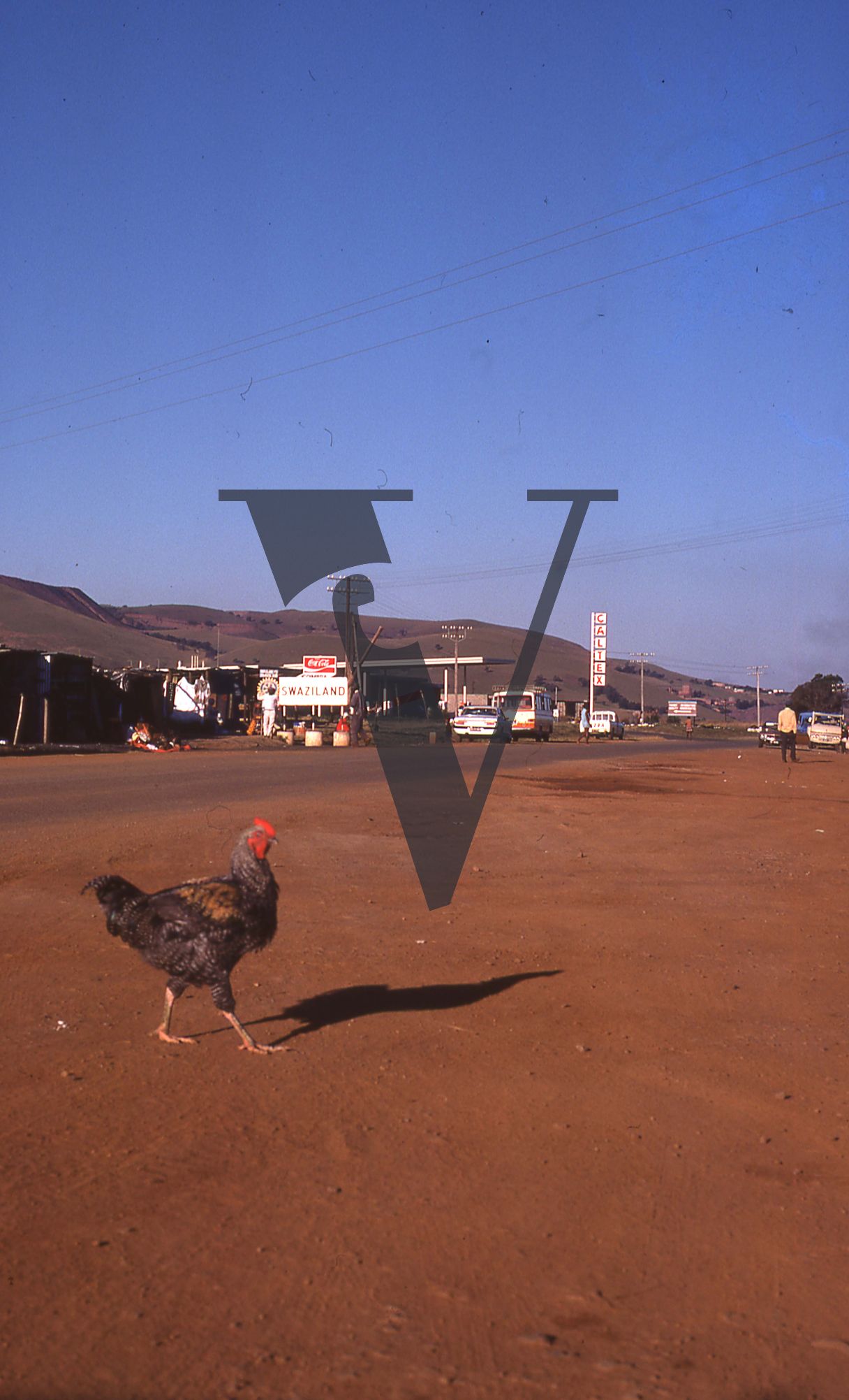 Eswatini, (formerly Swaziland), street scene, cockerel, signage, Caltex station.