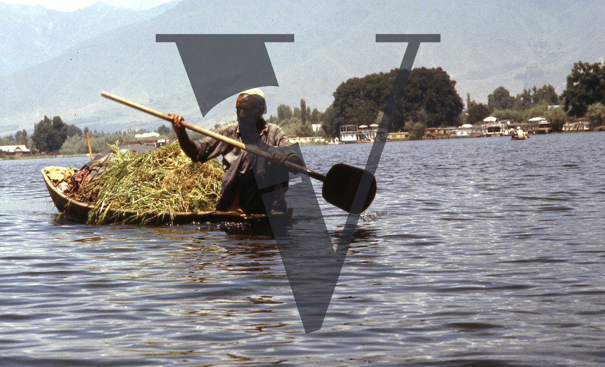 Kashmir, Boat paddler with grass.