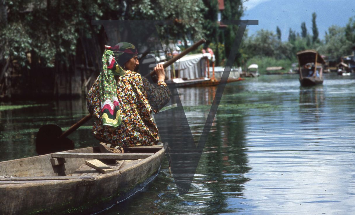 Kashmir, Woman paddling.