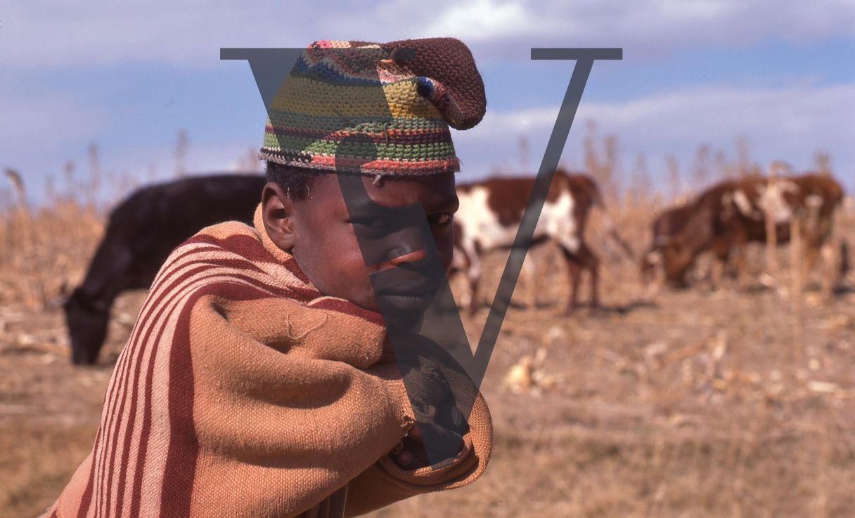 Lesotho, Handspun mohair farming community, boy foreground, portrait, cattle background.