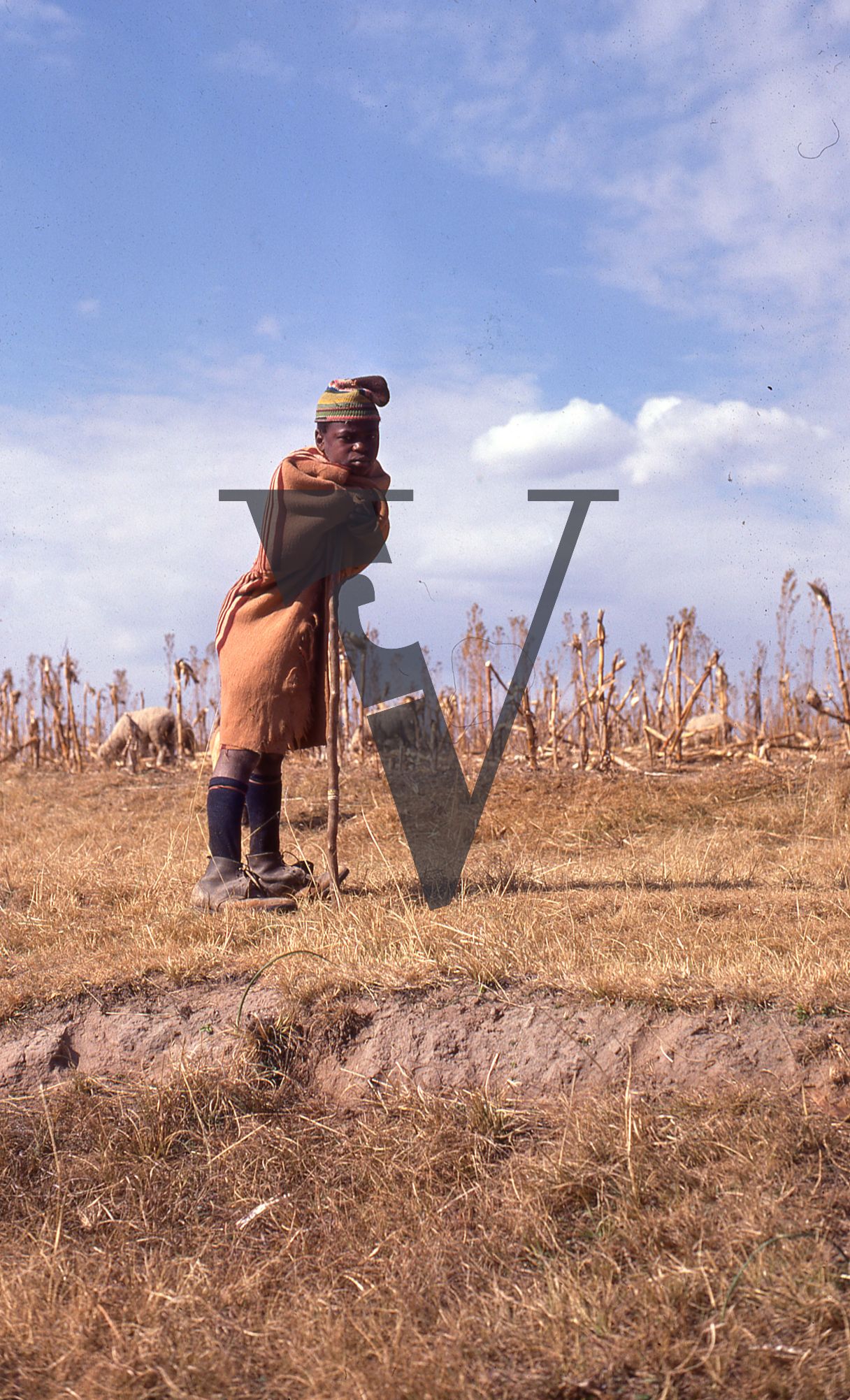 Lesotho, Handspun mohair farming community, boy leans on stick.