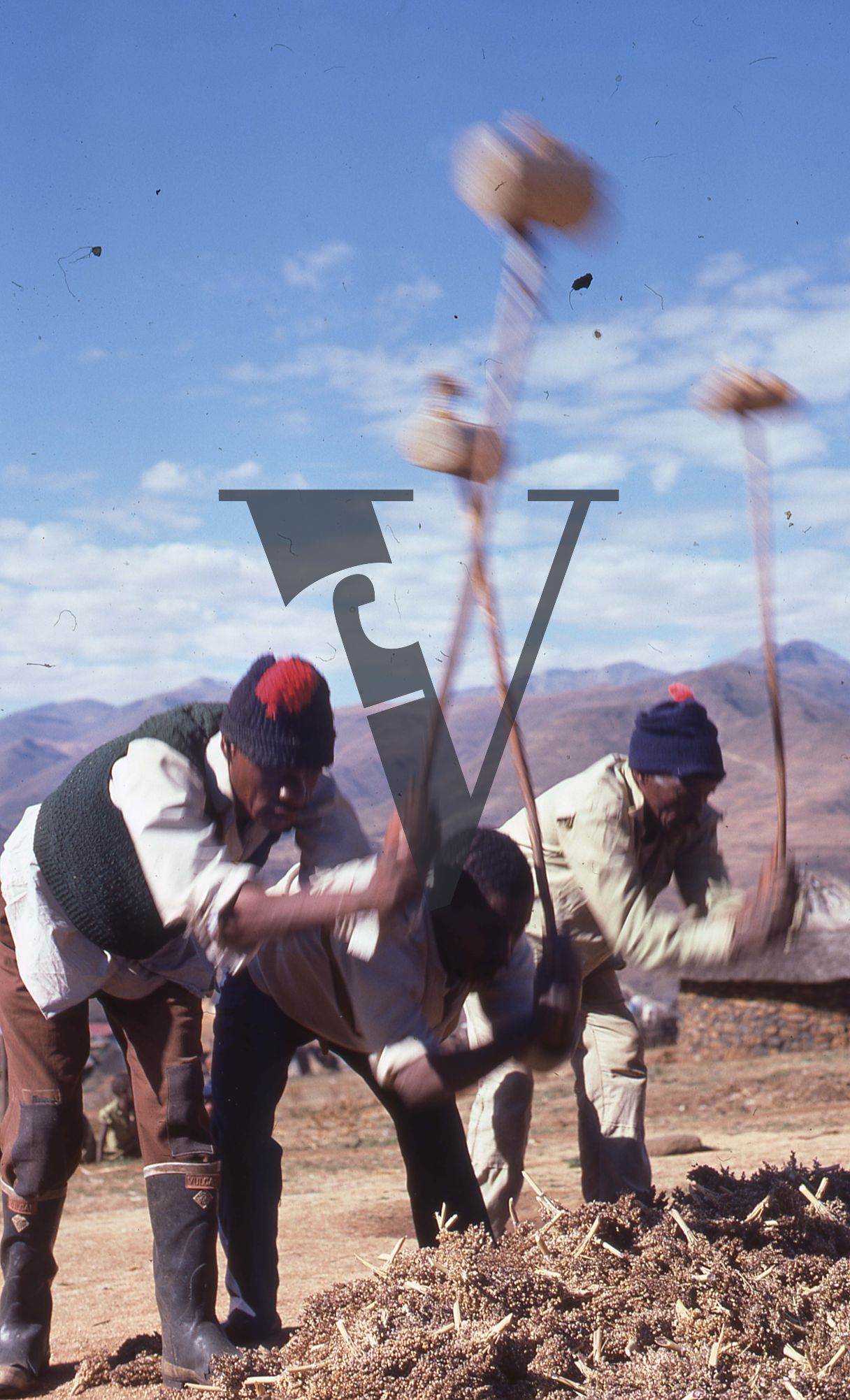 Lesotho, Handspun mohair farming community, farmers working tools, winnowing.