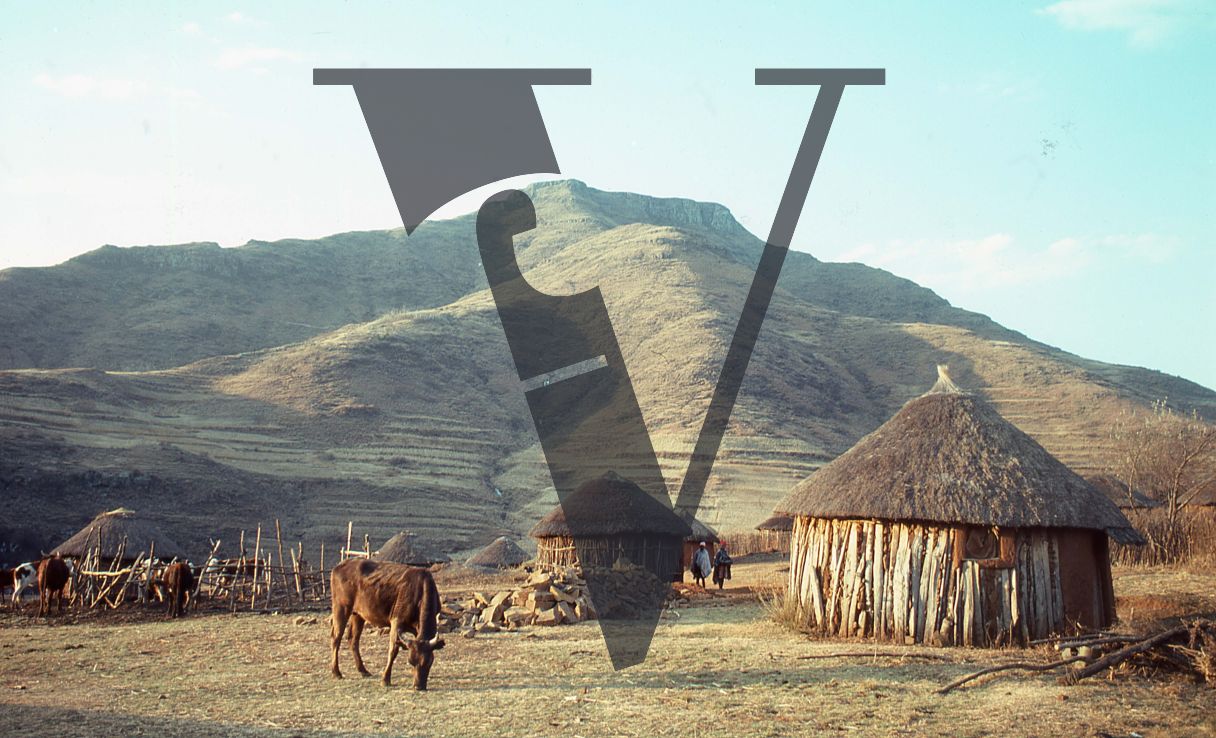 Lesotho, Kraal, landscape, rural, cattle.