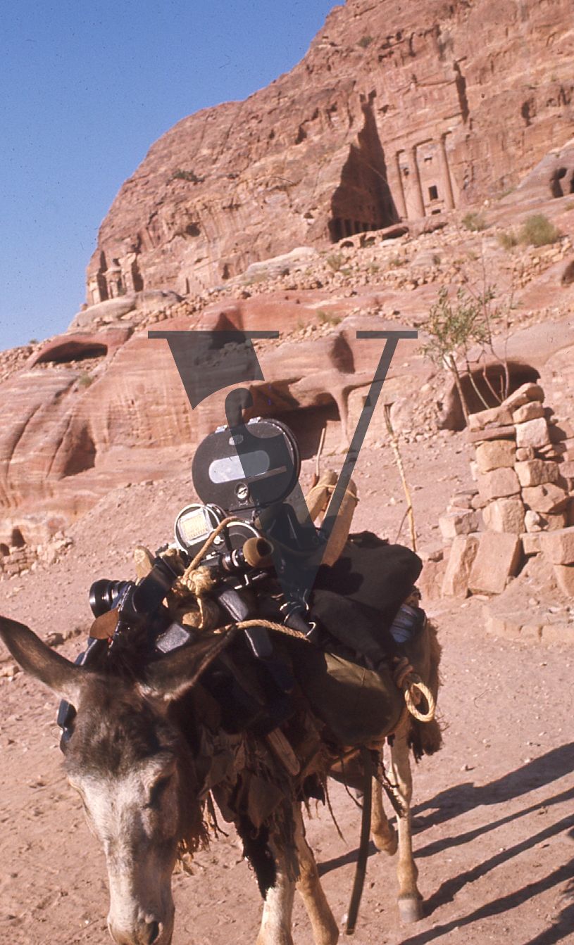 Petra, Jordan, donkey with camera.