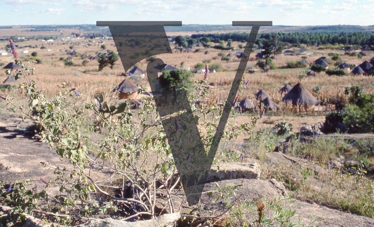 Rhodesia, landscape, kraal, rondavels.
