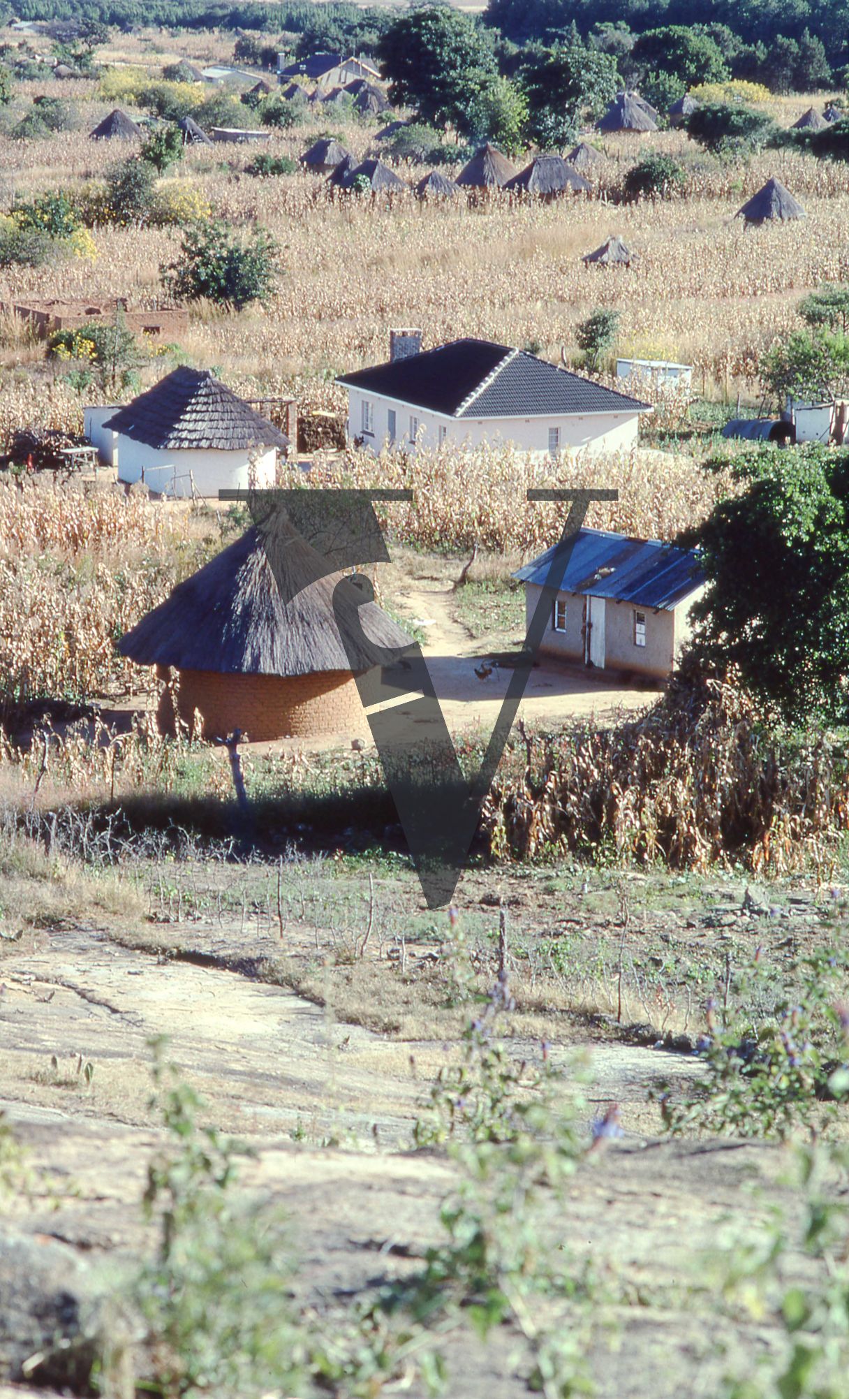 Rhodesia, landscape, houses, rondavels, long shot.