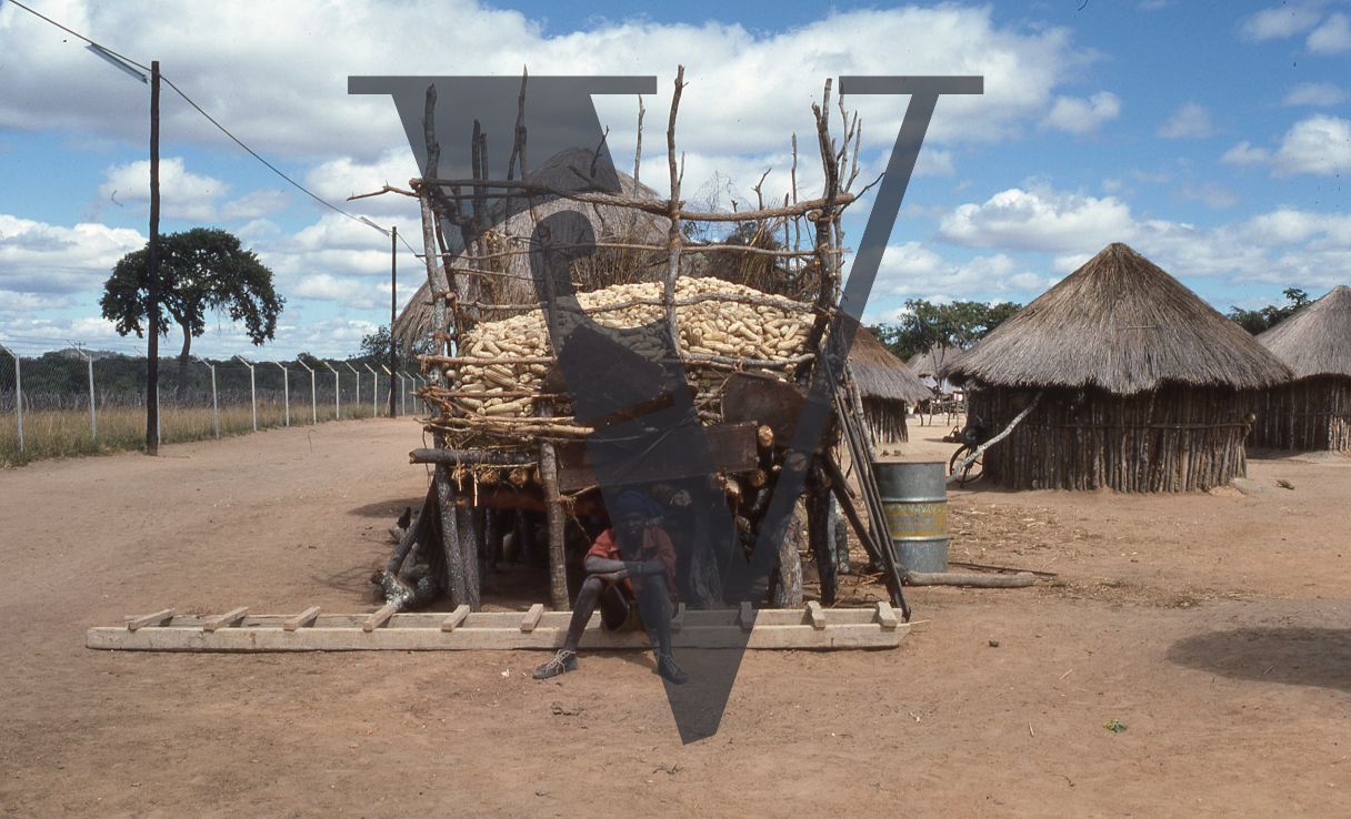 Rhodesia, “protected village”, man seated, harvested maize, wide shot.