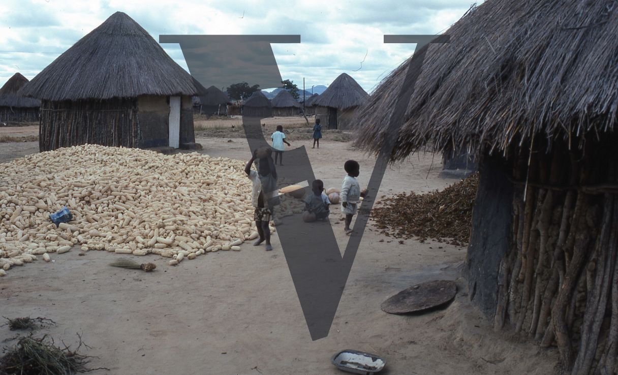 Rhodesia, “protected village”, young children, crop piles, rondavels, wide shot.
