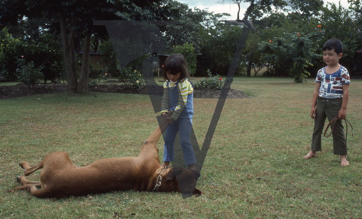 Rhodesia, cattle farm, small children playing with large dog.