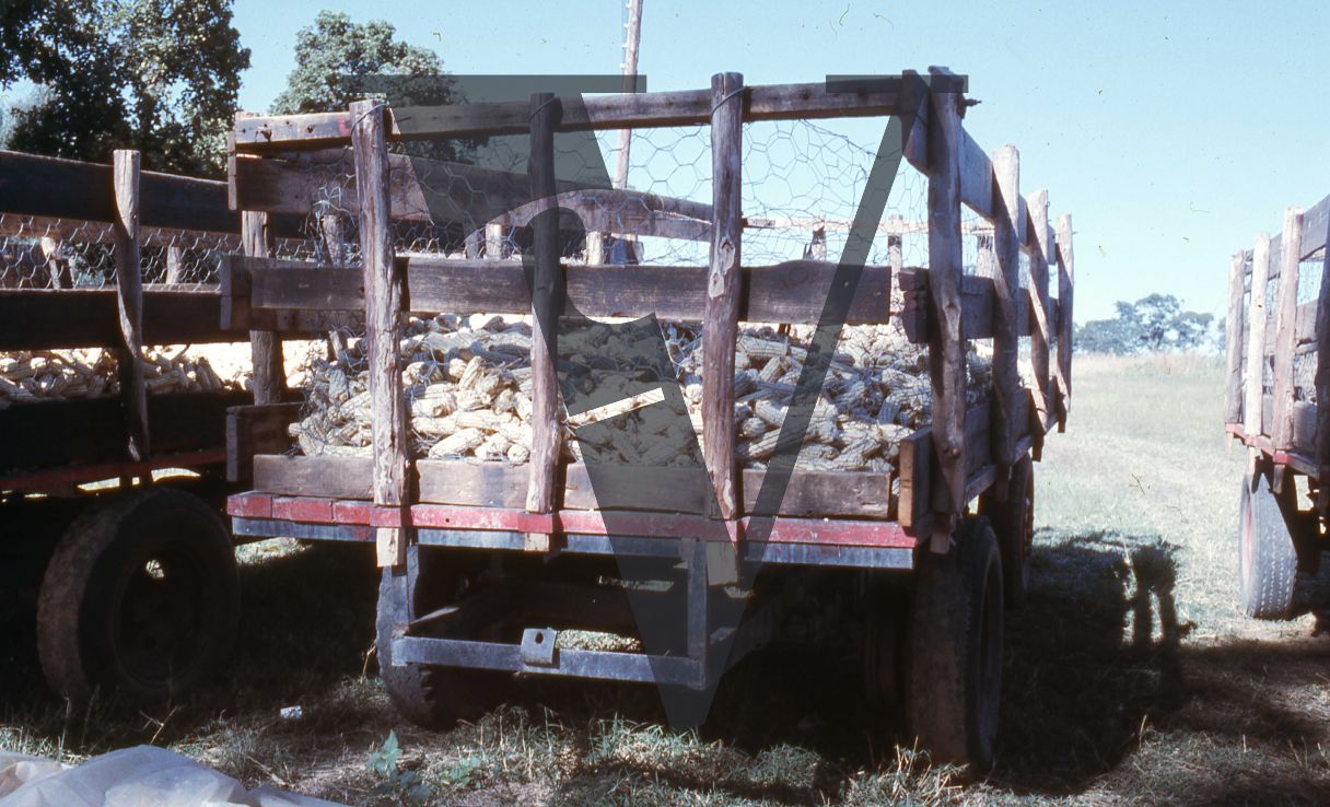 Rhodesia, cattle farm, cart with maize.