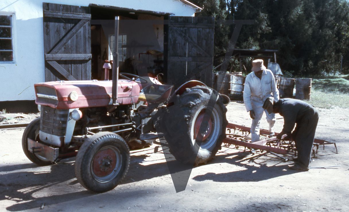 Rhodesia, tobacco farm, workers, tractor, agricultural machine.