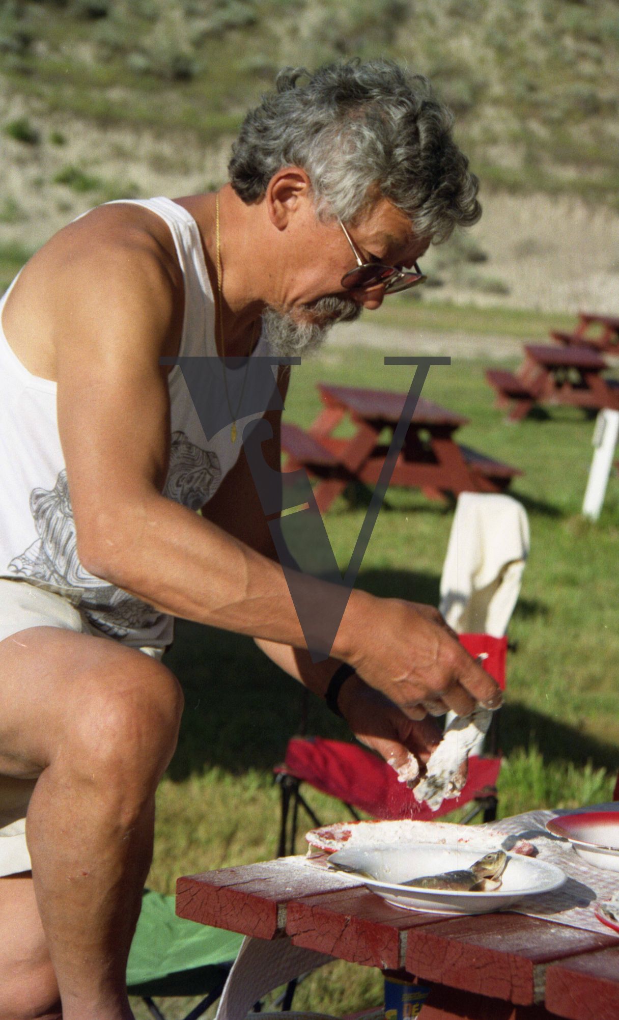Osoyoos, Okanagan Valley, British Columbia, David Suzuki, vest, preparing breakfast, fish.