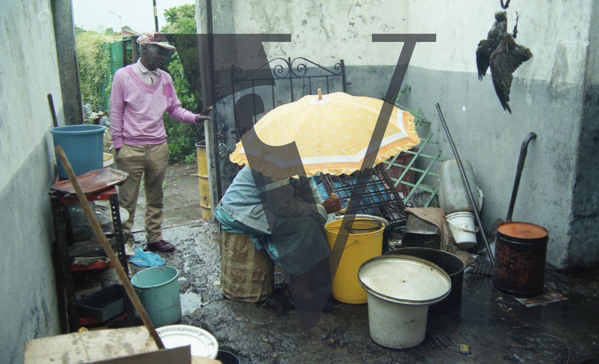 Sangoma, Zululand, Inyanga, preparing Muti in the rain.