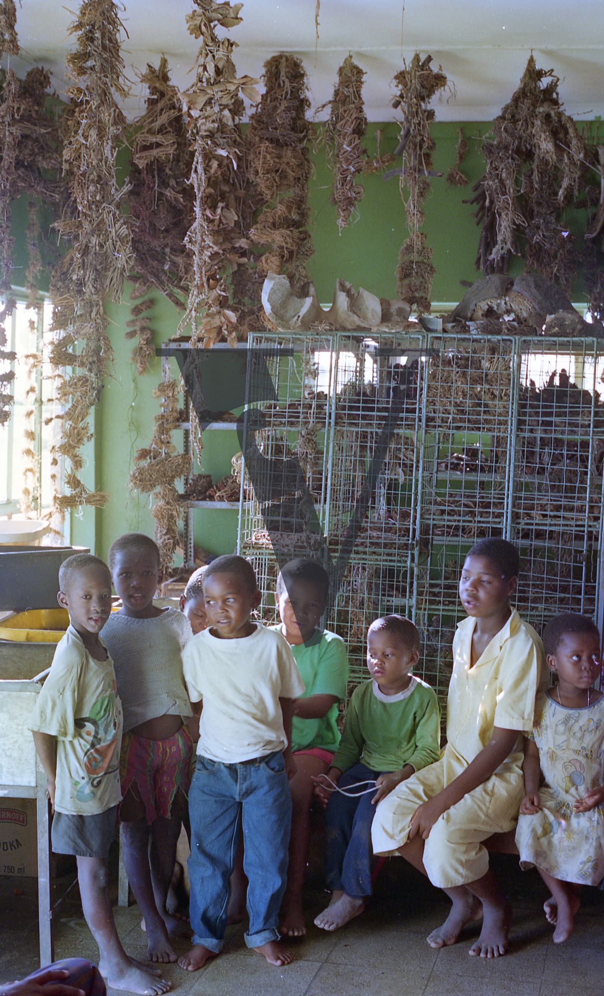 Sangoma, Zululand, Inyanga, group of children in the Cele store.