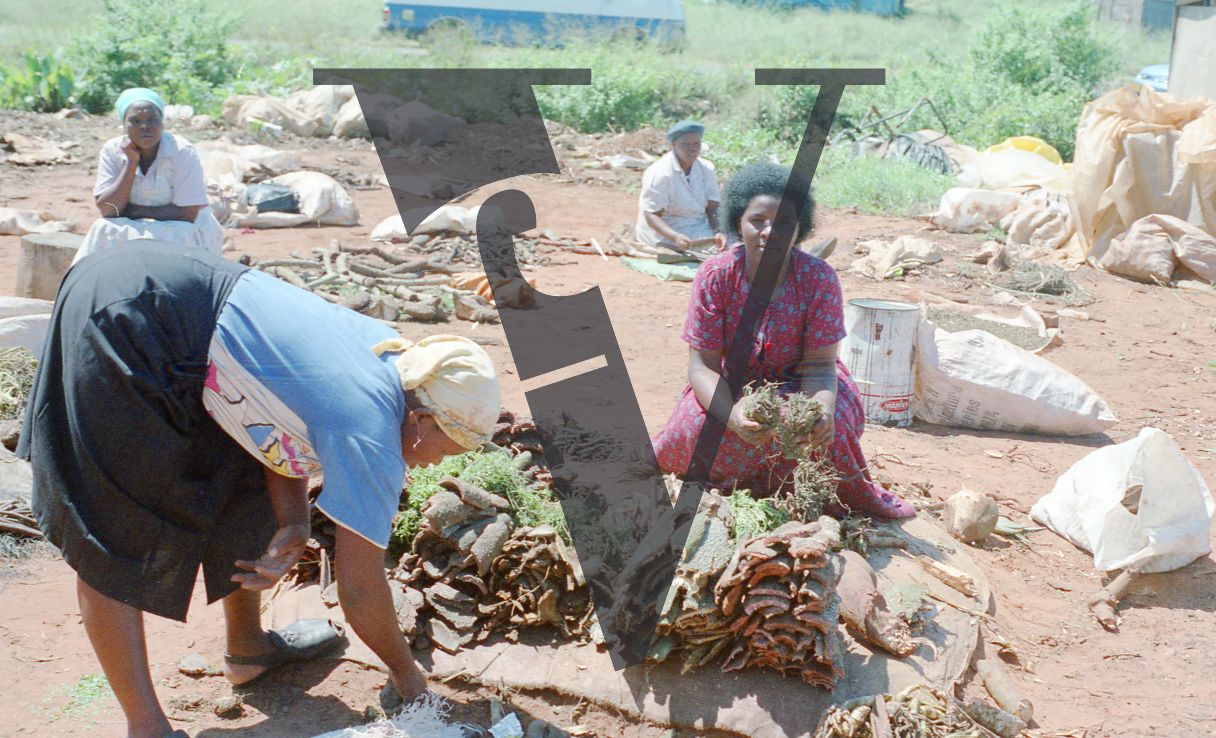 Sangoma, Zululand, Inyanga, Muti, marketplace, two women.