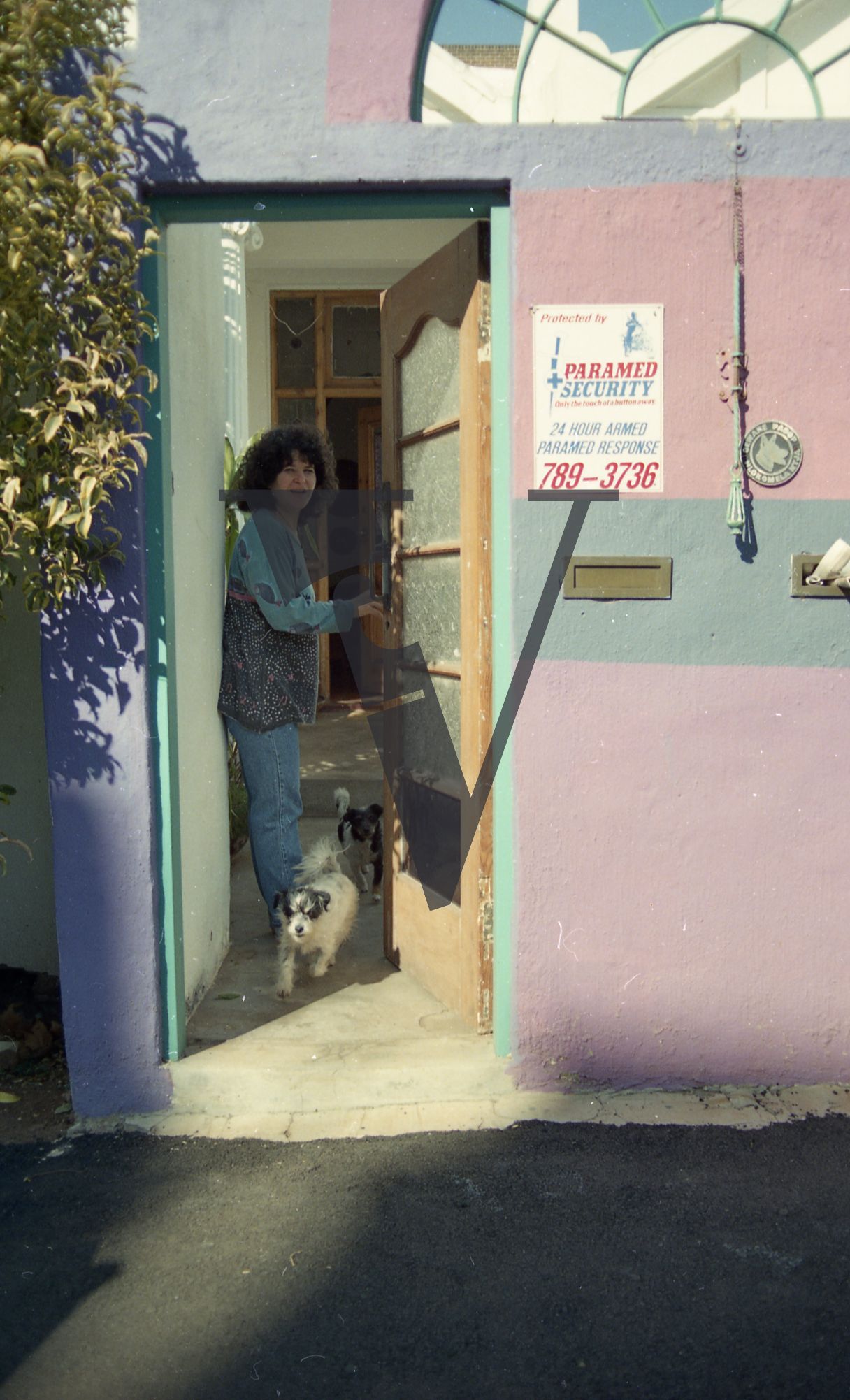 South Africa, white woman at door, welcoming, dogs running.