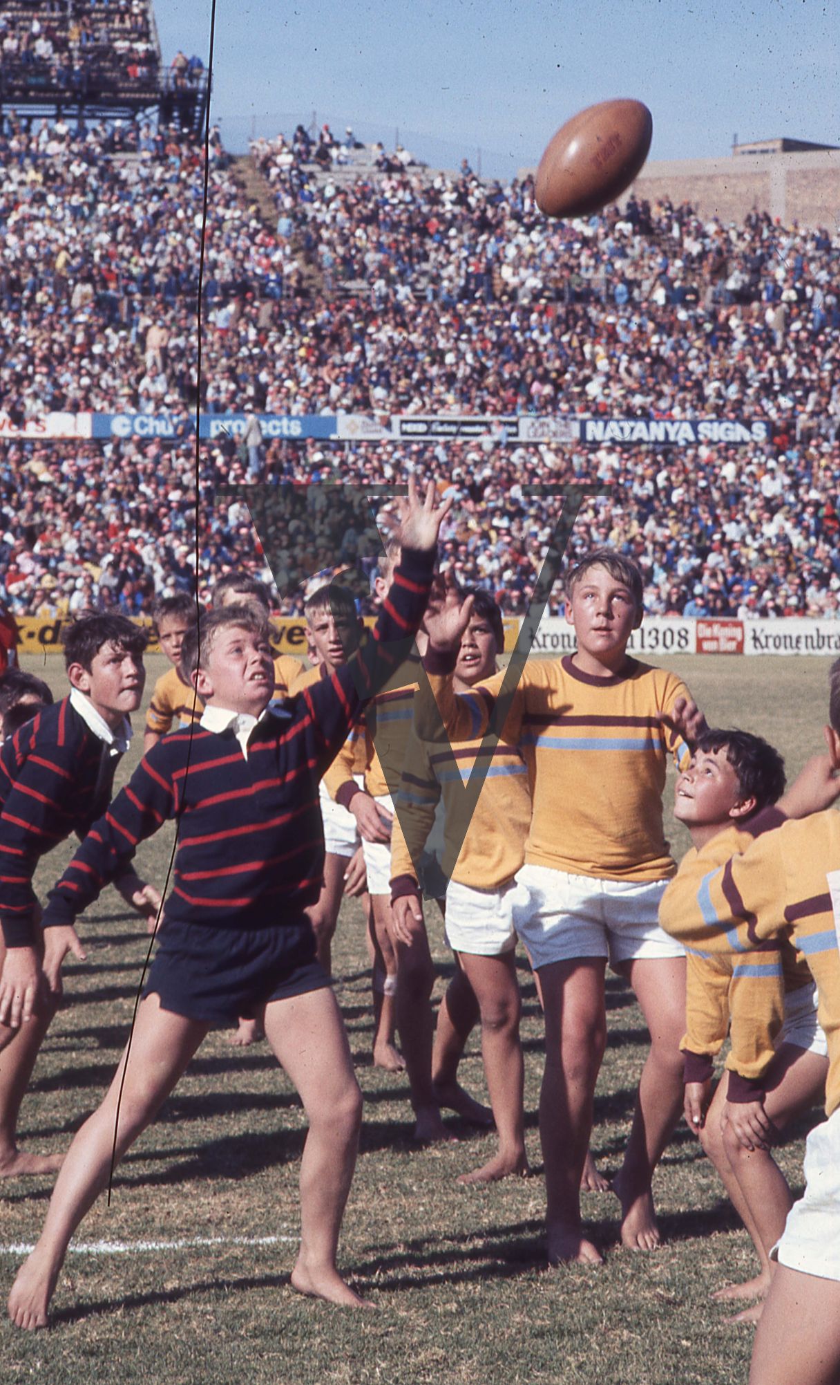 South Africa, rugby match, young white boys, barefoot.