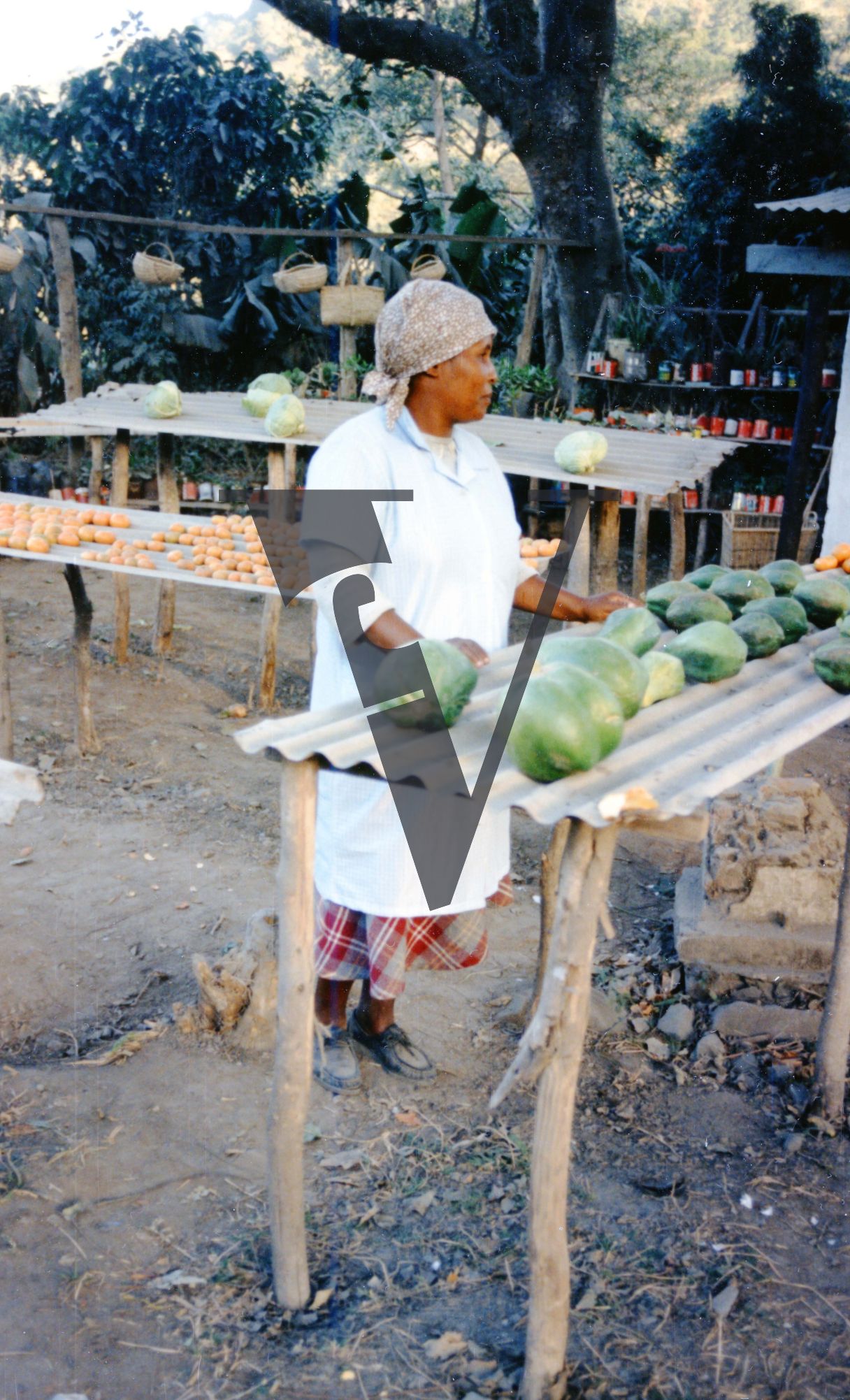 South Africa, Transkei, woman, melon seller.