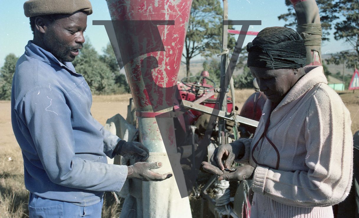 South Africa, Transkei, woman paying maize grinder, candid.