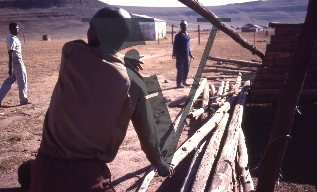 South Africa, Transkei, landscape, men working.