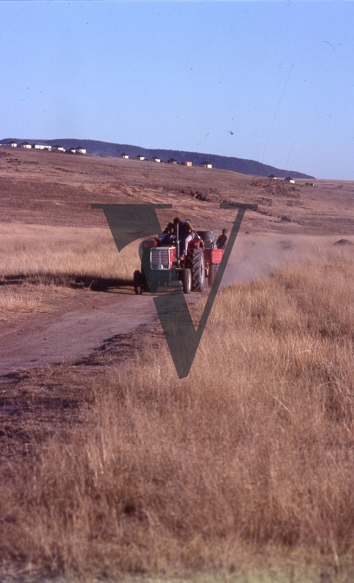 South Africa, Transkei, landscape, men on a tractor, uRonta, traditional Xhosa hut, long shot.