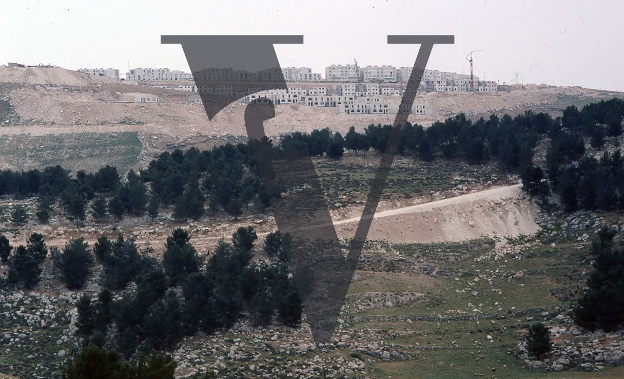 West Bank, settlement, Ma'ale Adumim, houses on the hillside, wide-shot.