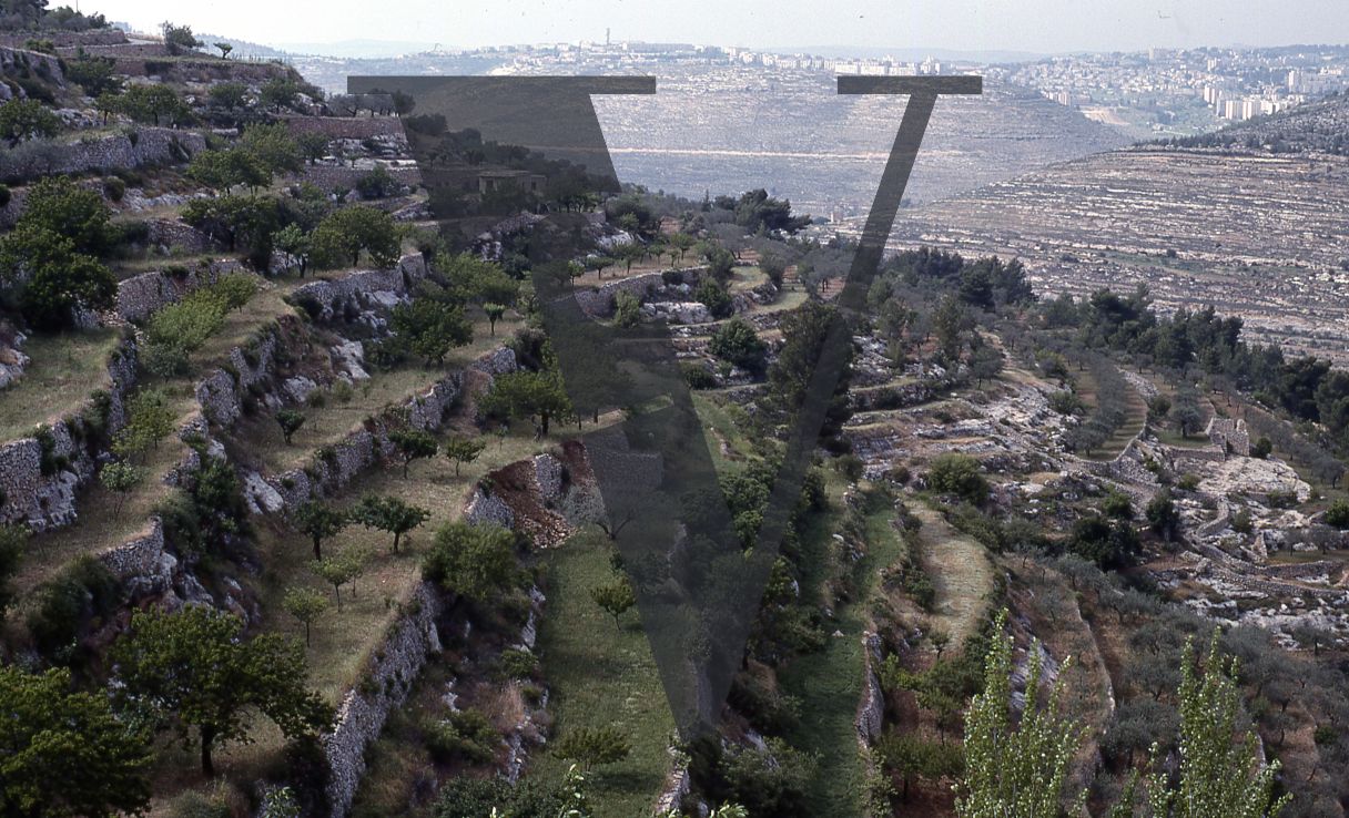 West Bank, hills and terrace outside Jerusalem.